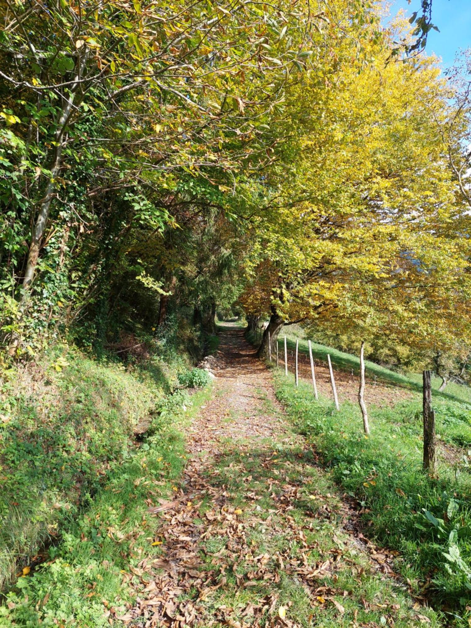 Du Ruisseau Les Adrets